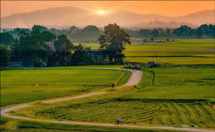 Phong cảnh nông thôn Việt Nam xưa