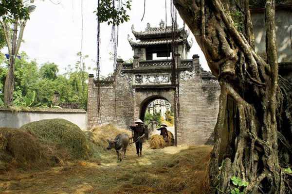 Phong cảnh nông thôn Việt Nam xưa