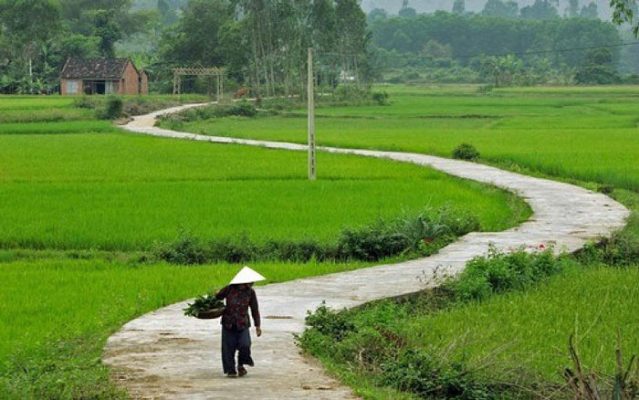 Bộ sưu tập ảnh phong cảnh làng quê Việt Nam xưa đẹp nao lòng