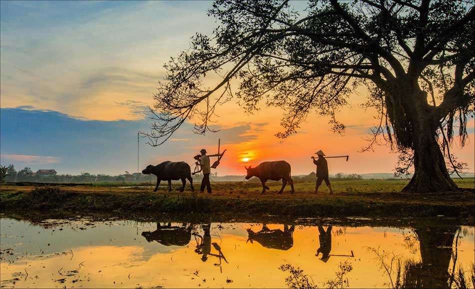 Bộ sưu tập ảnh phong cảnh làng quê Việt Nam xưa đẹp nao lòng