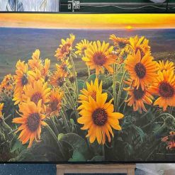Tranh Hoa Hướng Dương Treo Tường 48 Canvas