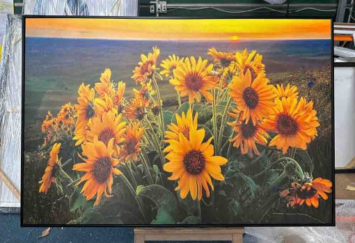 Tranh Hoa Hướng Dương Treo Tường 48 Canvas