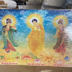 Tranh Tam Thánh Phật Tráng Gương